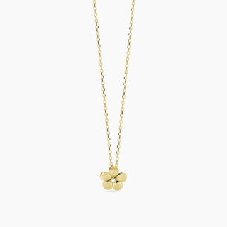 SKU 553834 - Posizione 1