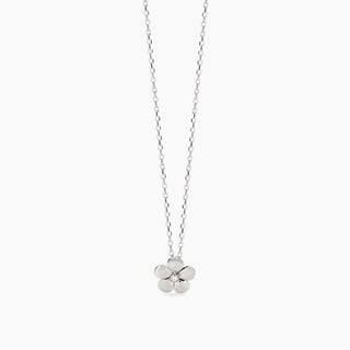SKU 553837 - Posizione 1