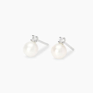 SKU 563955 - Posizione 2